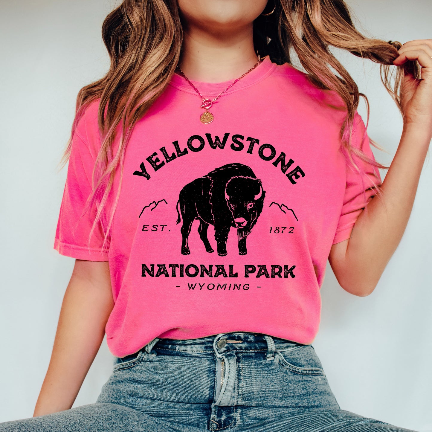 Vintage Y National Park | Garment Dyed Tee