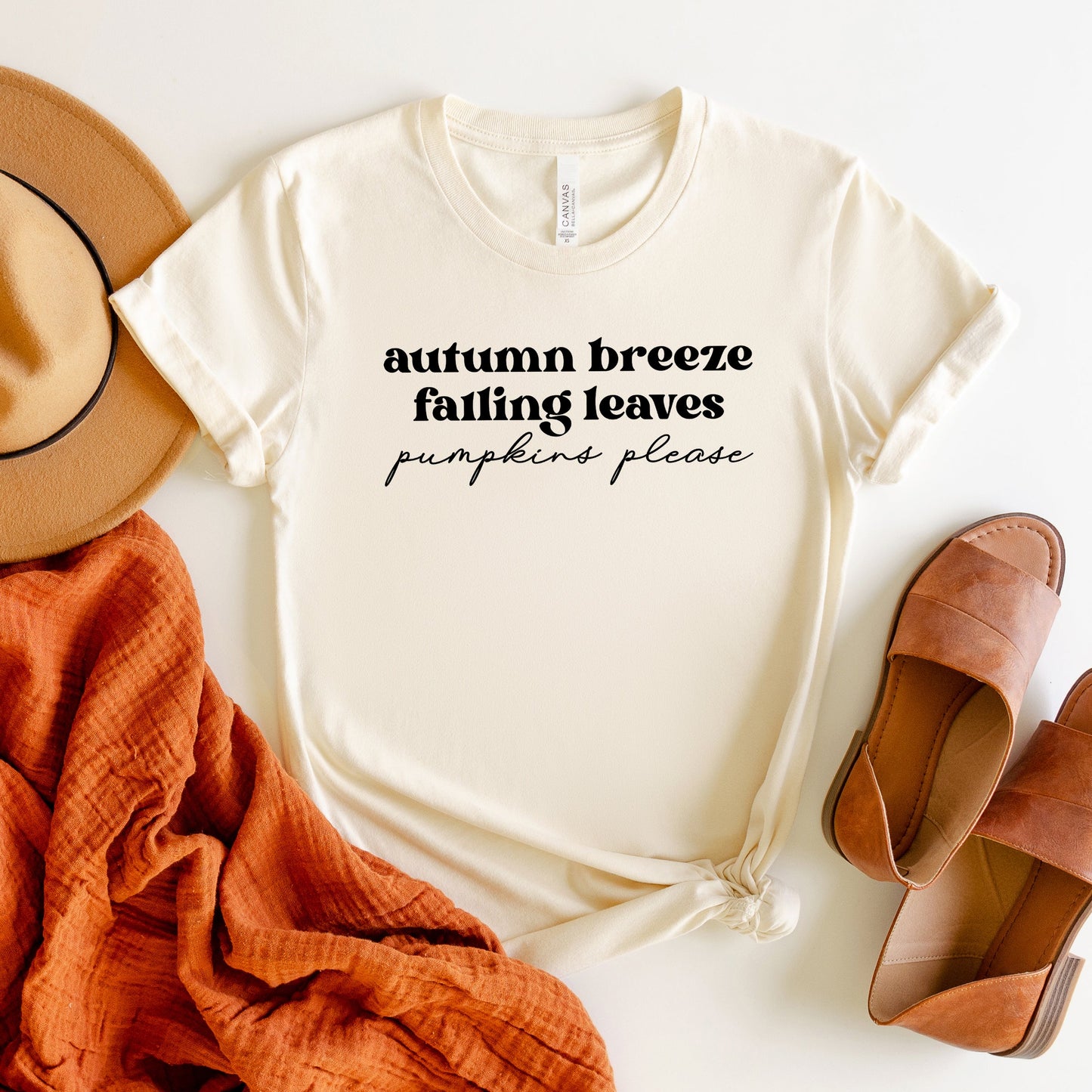 Autumn Breeze Falling Leaves | Short Sleeve Graphic Tee