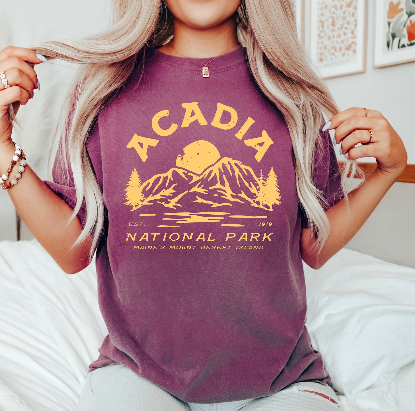 Vintage Acadia National Park | Garment Dyed Short Sleeve Tee