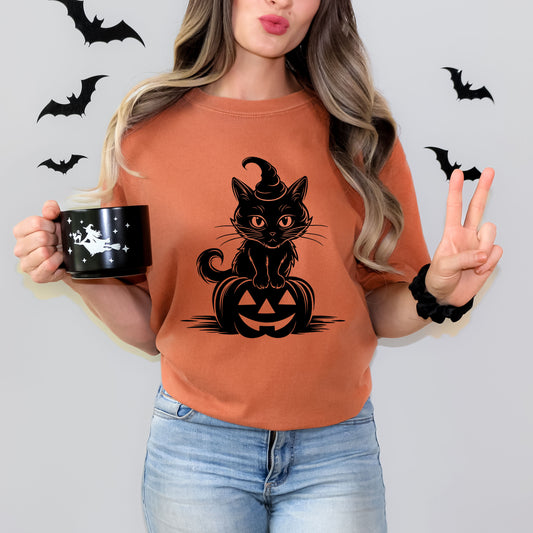 Cat Perched On A Pumpkin | Garment Dyed Tee