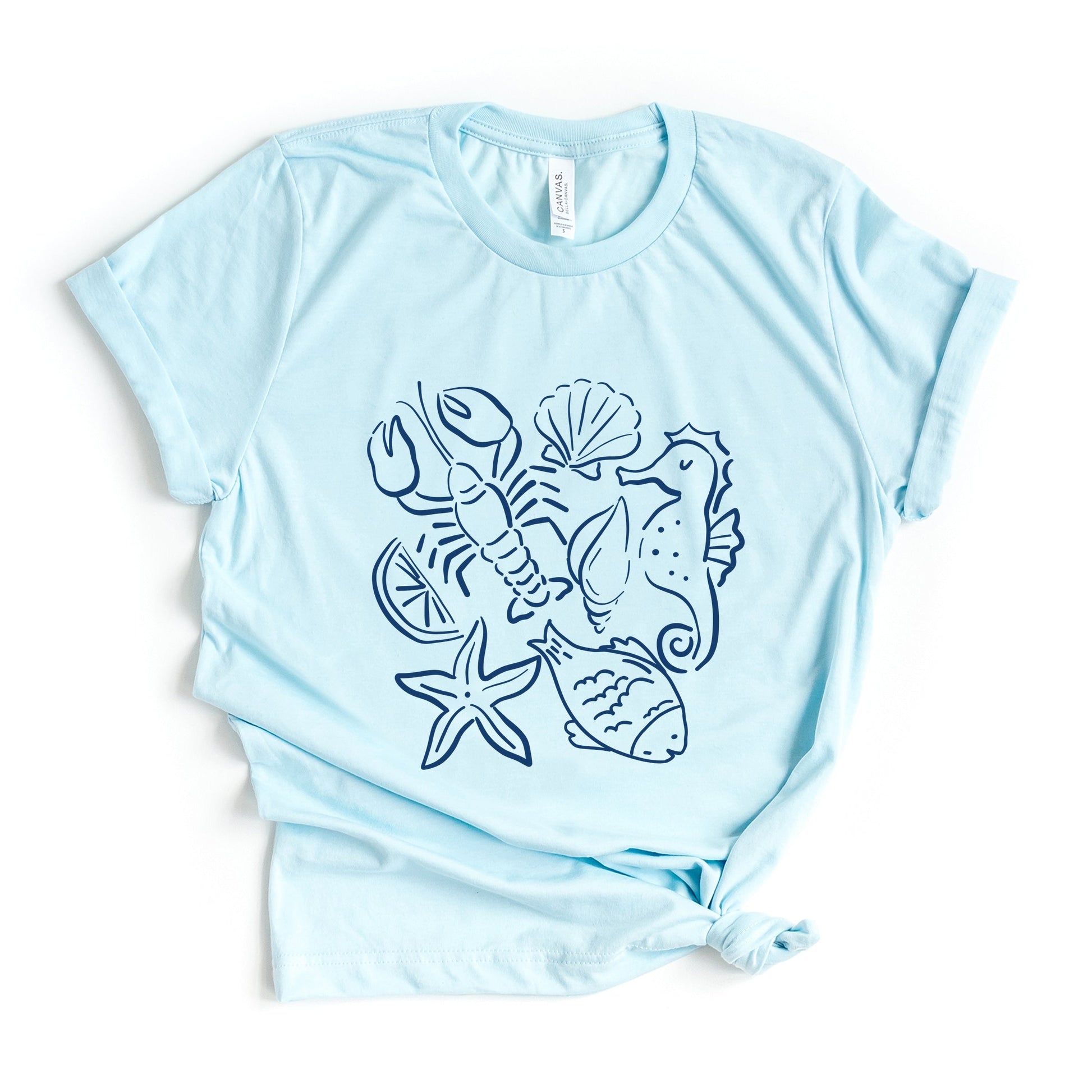 25440NAV_F-C Ice Blue
