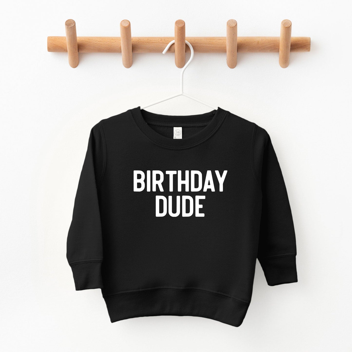 Birthday Dude Bold | Toddler Graphic Sweatshirt