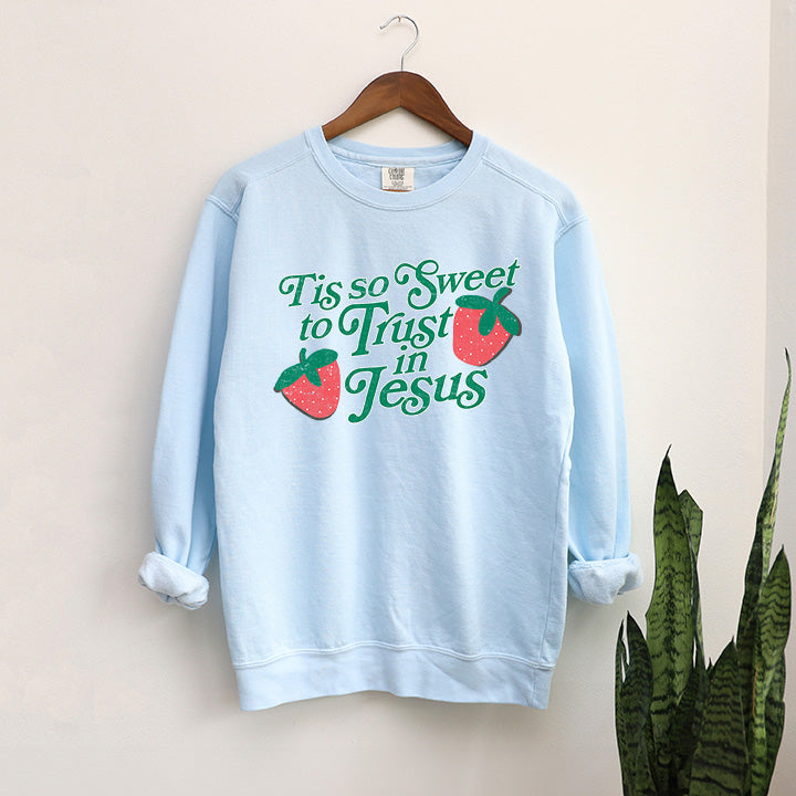 Trust In Jesus | Garment Dyed Sweatshirt