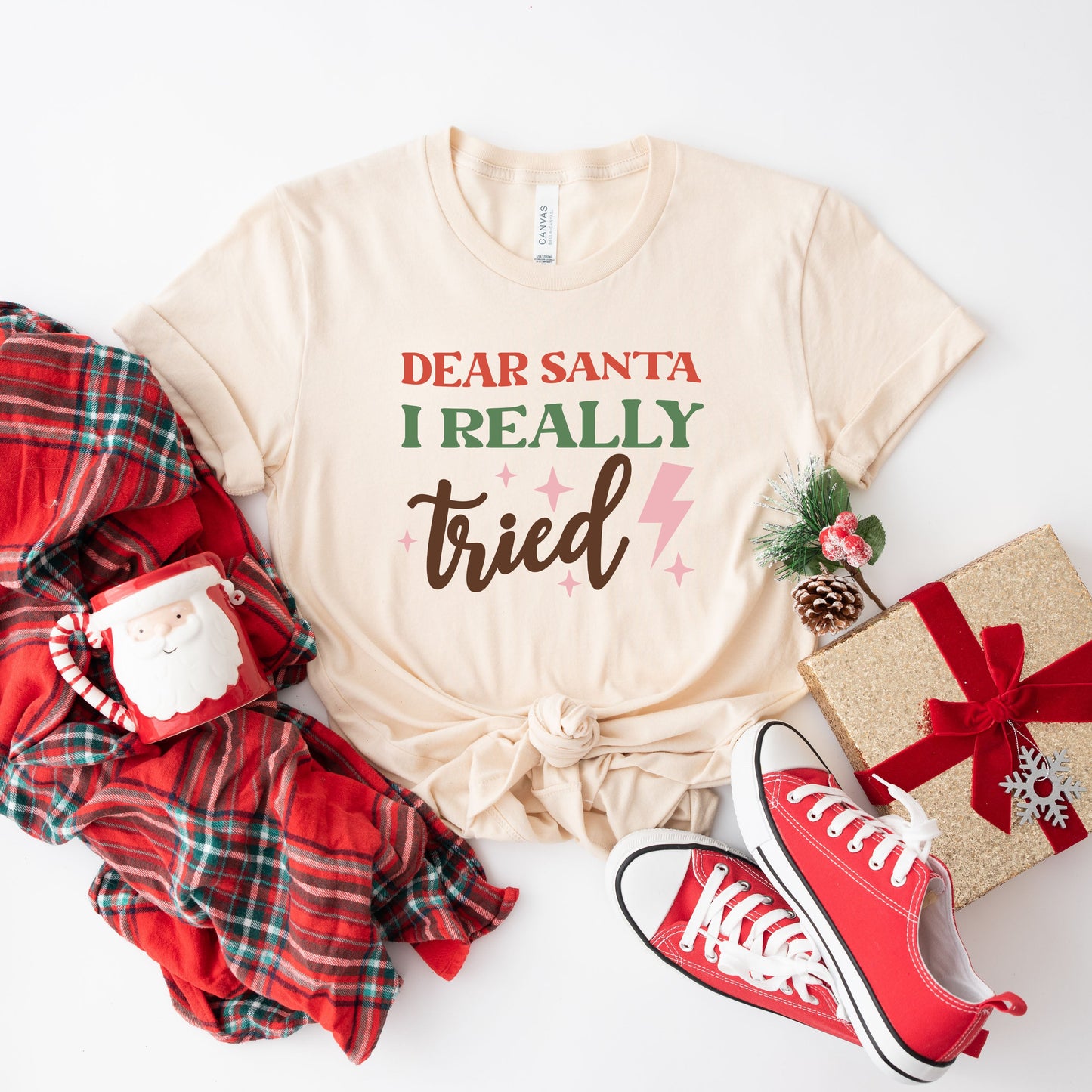 Dear Santa I Really Tried | Short Sleeve Graphic Tee