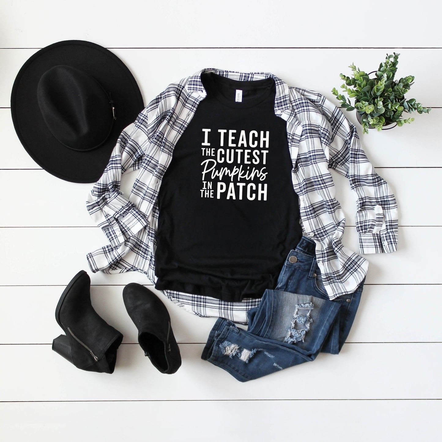 I Teach the Cutest Pumpkins in the Patch | Short Sleeve Graphic Tee