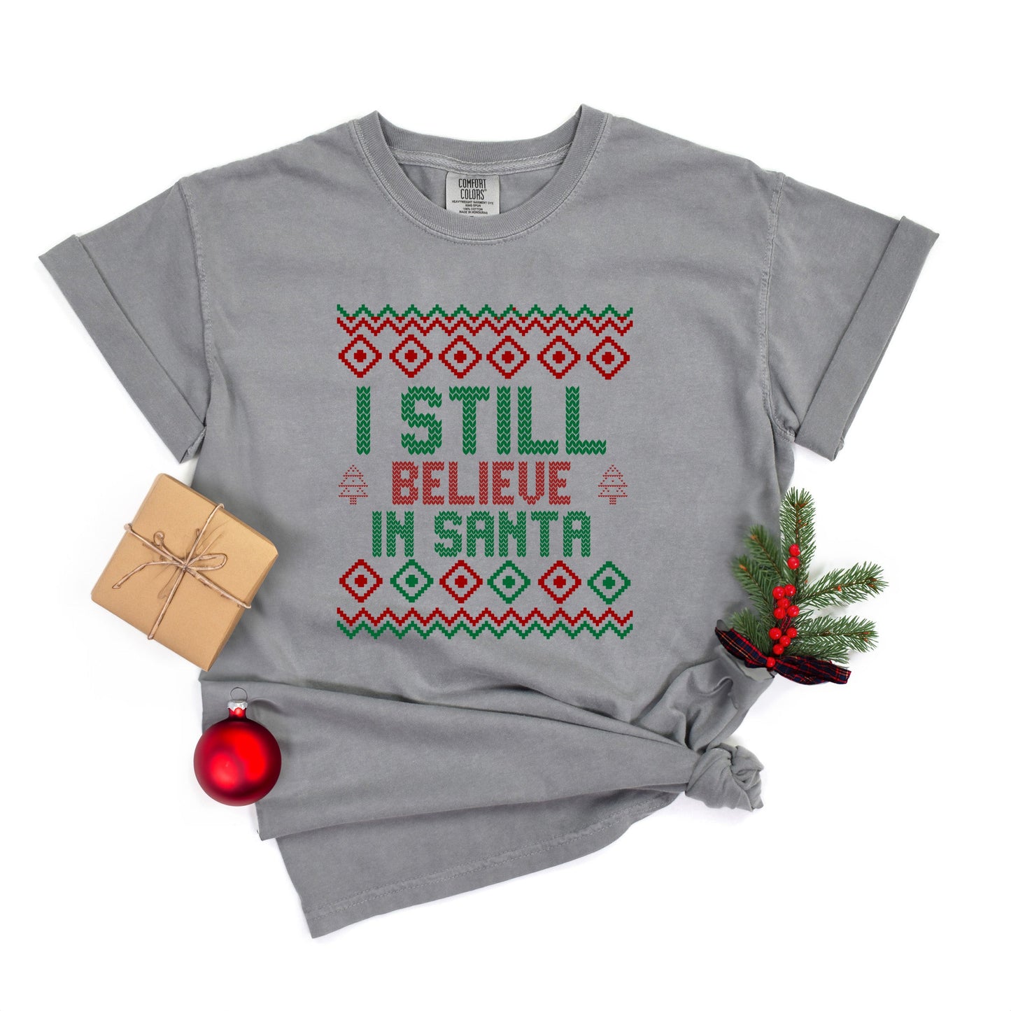 I Still Believe in Santa | Garment Dyed Tee