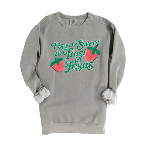 Trust In Jesus | Garment Dyed Sweatshirt