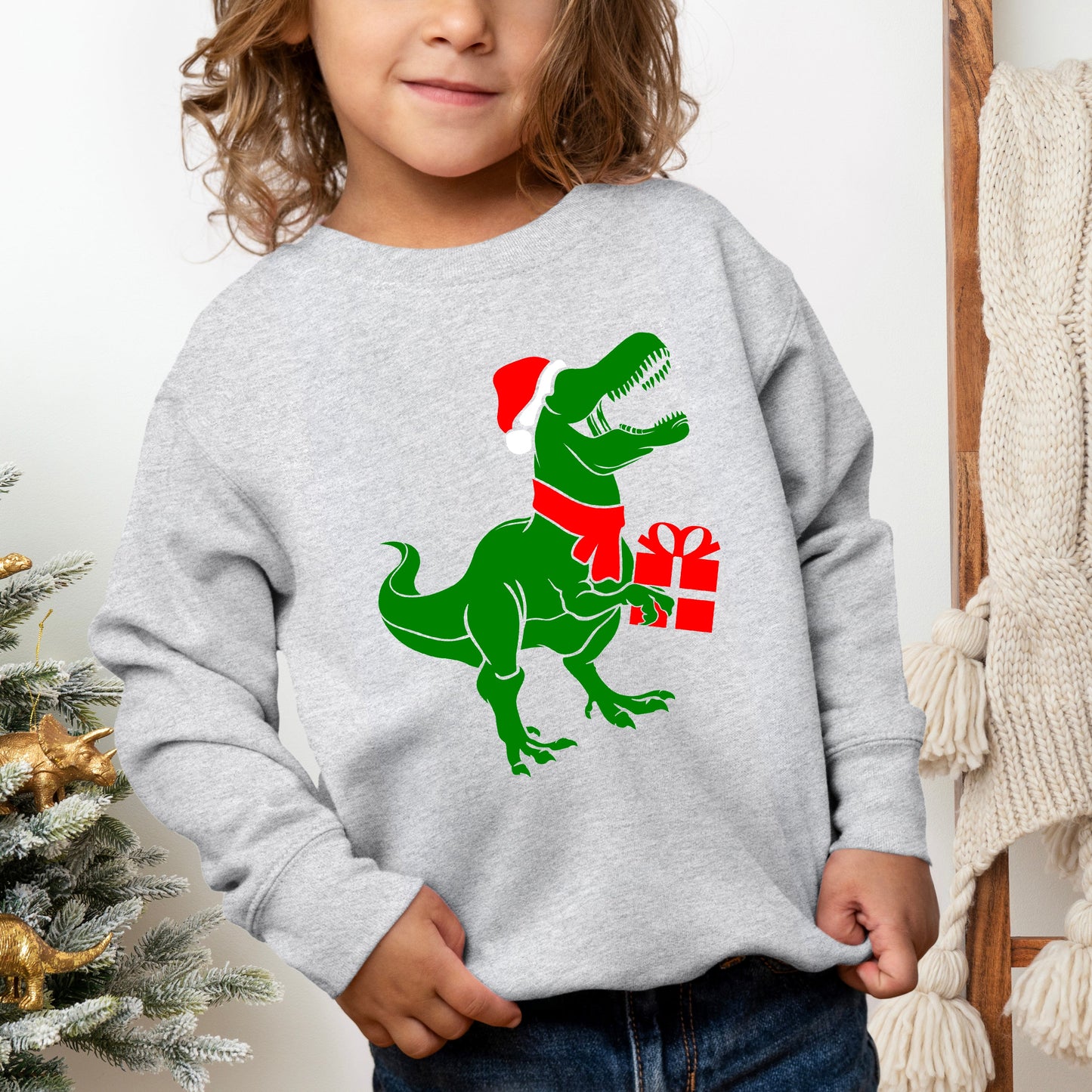 Dino Present | Youth Ultra-Soft Graphic Sweatshirt