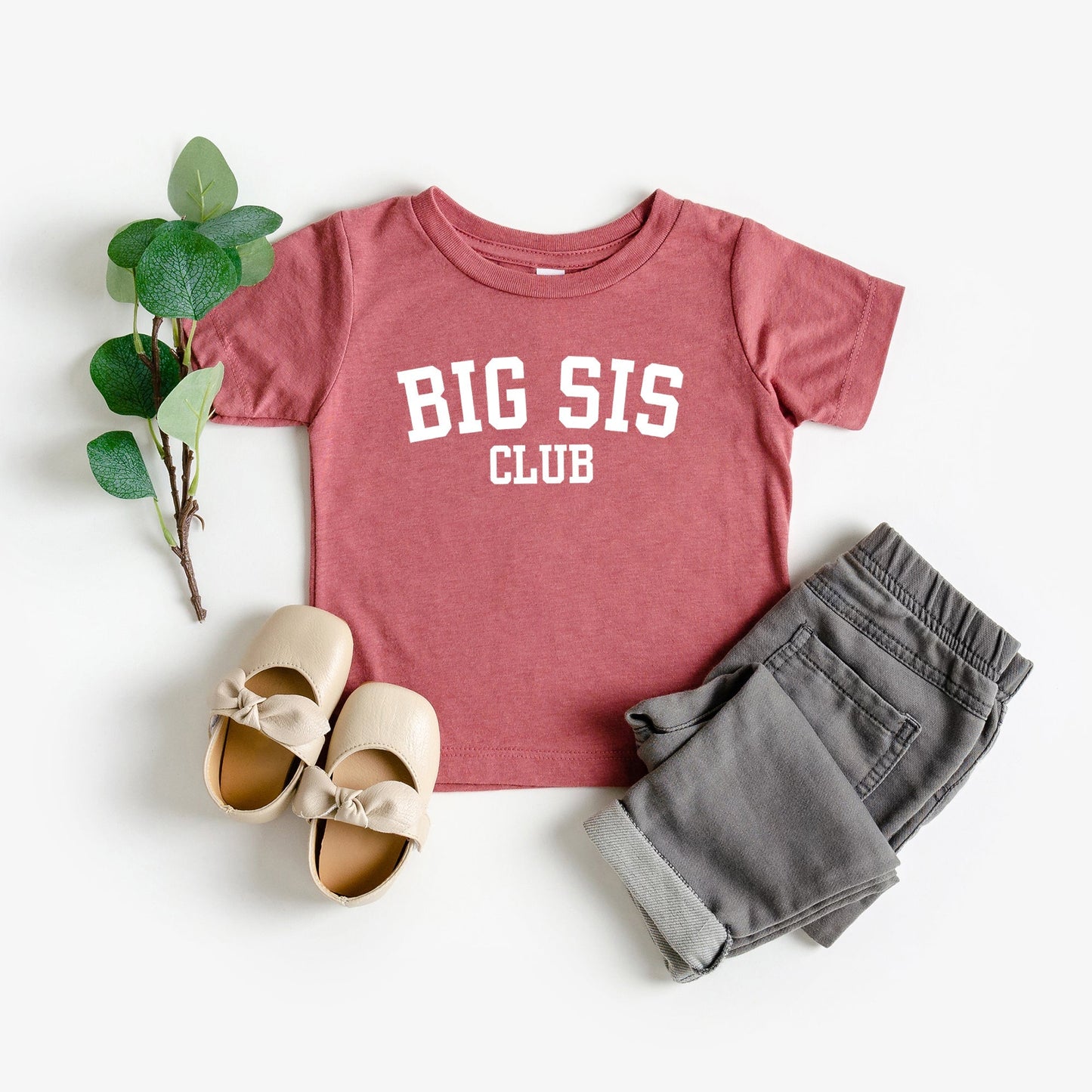 Big Sis Club | Toddler Graphic Short Sleeve Tee