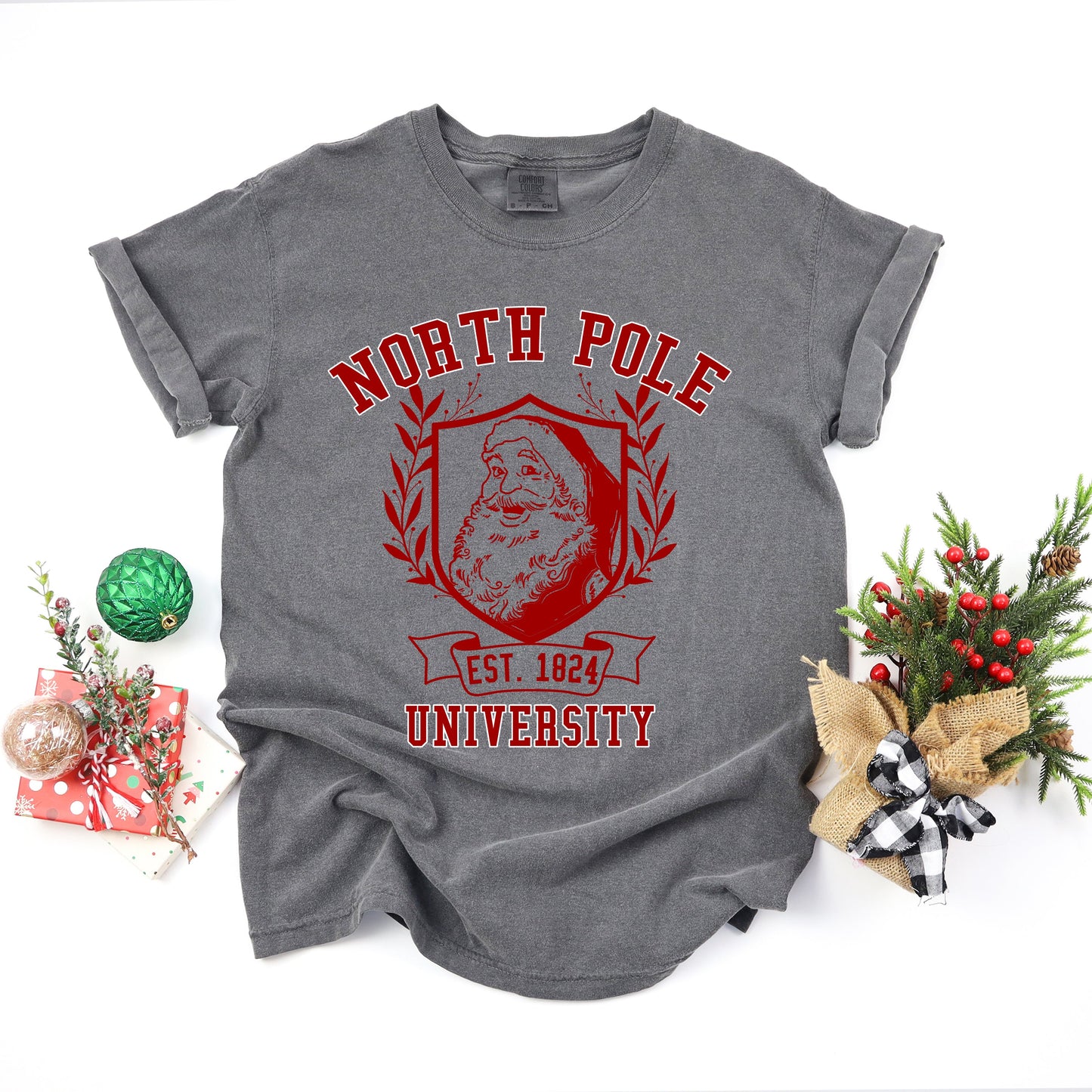 Santa North Pole University | Garment Dyed Tee