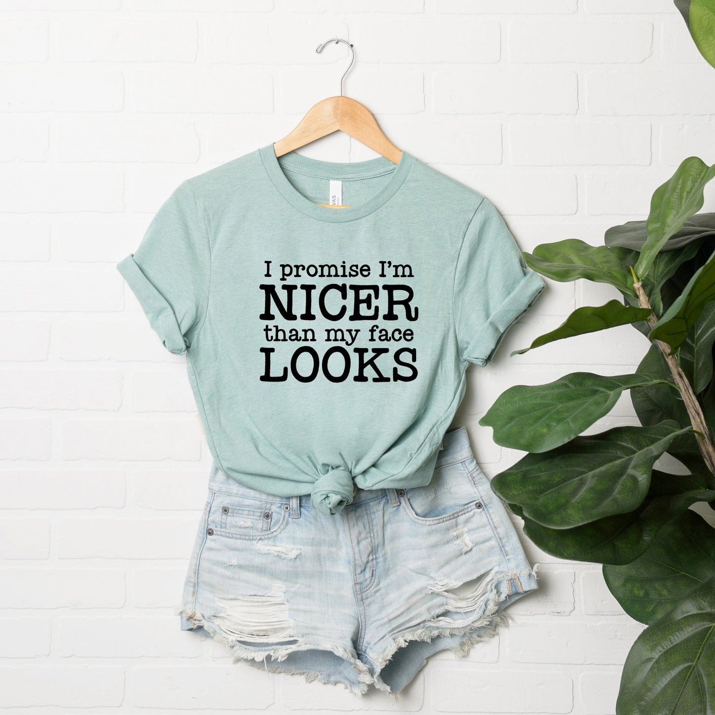 I'm Nicer Than My Face Looks | Short Sleeve Graphic Tee