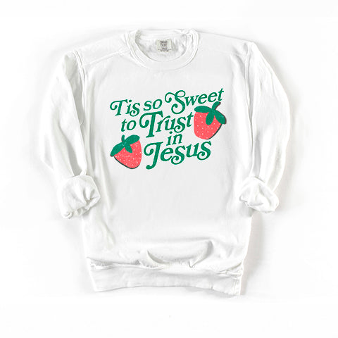 Trust In Jesus | Garment Dyed Sweatshirt